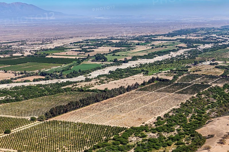 Diverse agricultural landscape with green and brown fields, surrounded by trees and mountains on the horizon, The landscape in the desert near Nasca in Peru