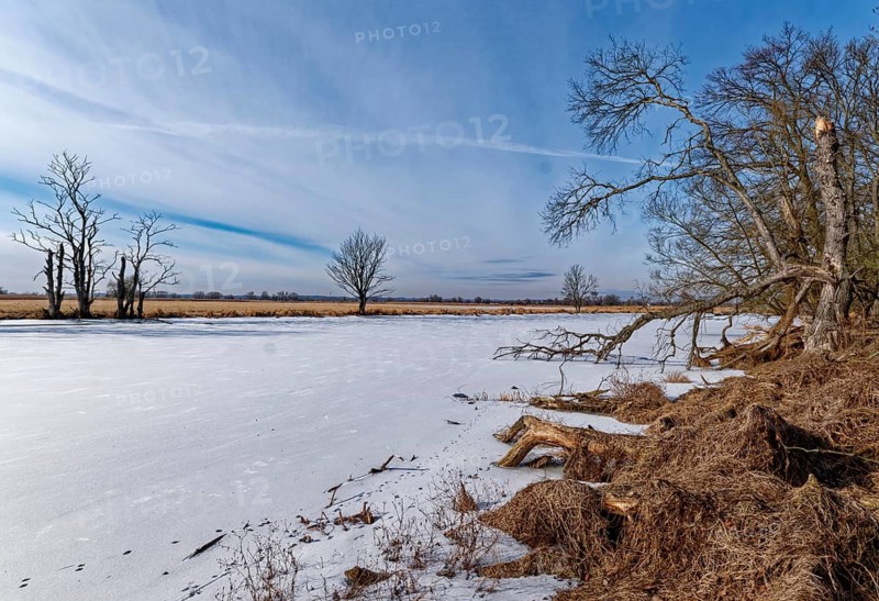 Ice and snow-covered foothills of the Oder in the area of the Schwedt lock in the Lower Oder Valley National Park. aerial view. Schwedt, Uckermark, Brandenburg, Germany