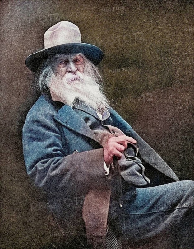 Walter Whitman (born 31 May 1819 in West Hills, died 26 March 1892 in Camden) was an American poet, essayist and journalist, Historical, digitally restored reproduction from a 19th century original, Record date not stated