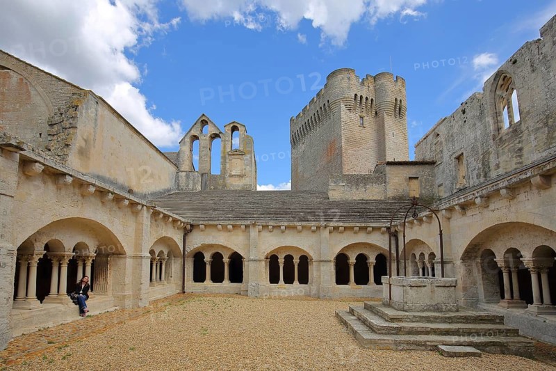Courtyard with cloister and archways of the Romanesque monastery Abbaye de Montmajour, Benedictine monastery, Arles, Bouches-du-Rhône, Camargue, Provence, France
