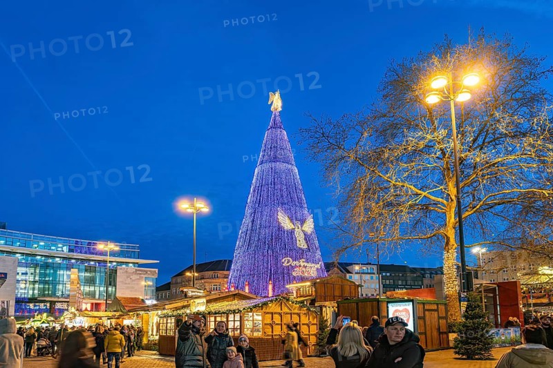 The huge Christmas tree at Dortmund's Christmas market at dusk, Dortmund, North Rhine-Westphalia, Germany