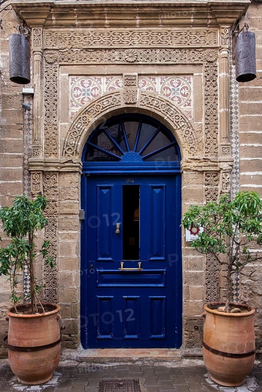 A blue door with ornate rustic patterns and two potted plants next to it, Essaouira, Morocco