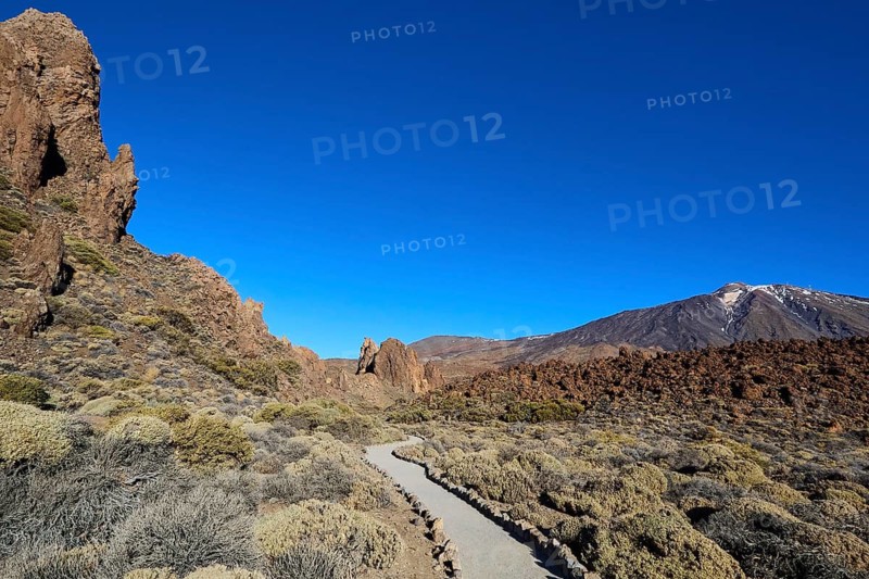Roques de Garcia, a path that snakes through vegetation with the Teide volcano in the distance, Teide, Parque Nacional del Teide, Teide National Park, volcano, volcanism, UNESCO World Heritage Site, Tenerife, Canary Islands, Spain