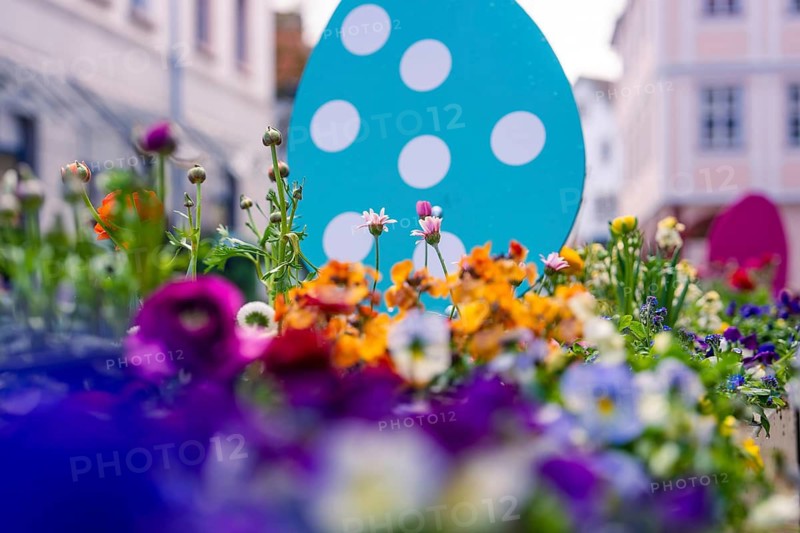 Vivid flowers in various colors in front of a blue Easter egg in an urban environment, Nagold, Calw district, Germany