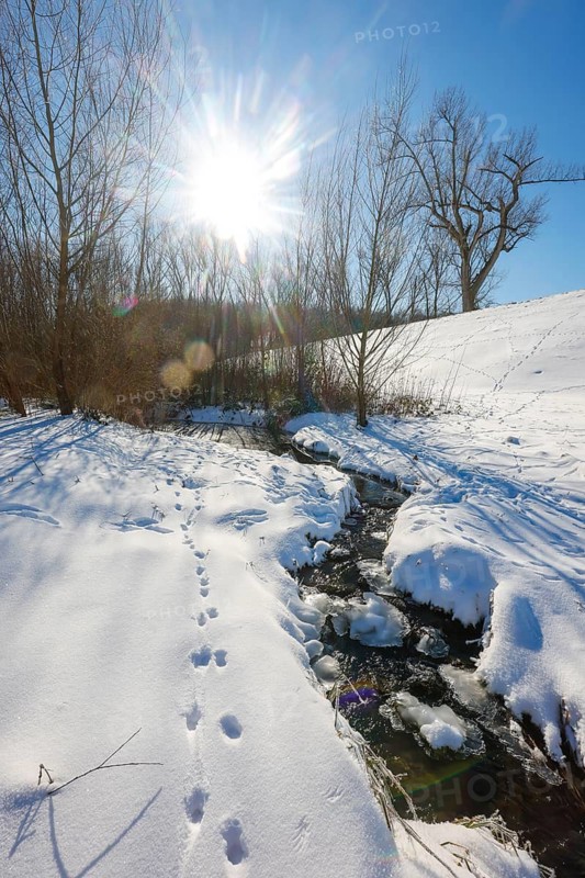 Bochum, North Rhine-Westphalia, Germany - Sunny winter landscape in the Ruhr area, ice and snow on the renaturalised Goldhammer Bach, the stream has been transformed into a near-natural watercourse, the Goldhammer Bach flows into the Emscher via the Hüller Bach, is part of the Emscher river system and thus part of the Emscher conversion, was previously an open, above-ground wastewater channel, mixed water channel with surface water and wastewater, animal tracks in the snow