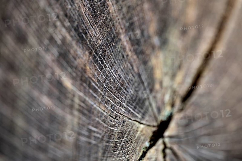Wooden surface