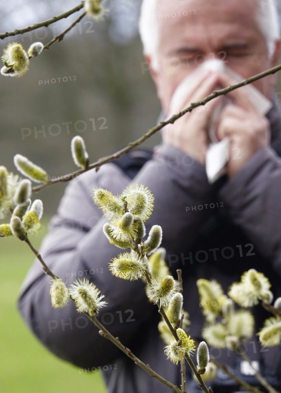 Pollen allergy, willow pollen, March, Germany