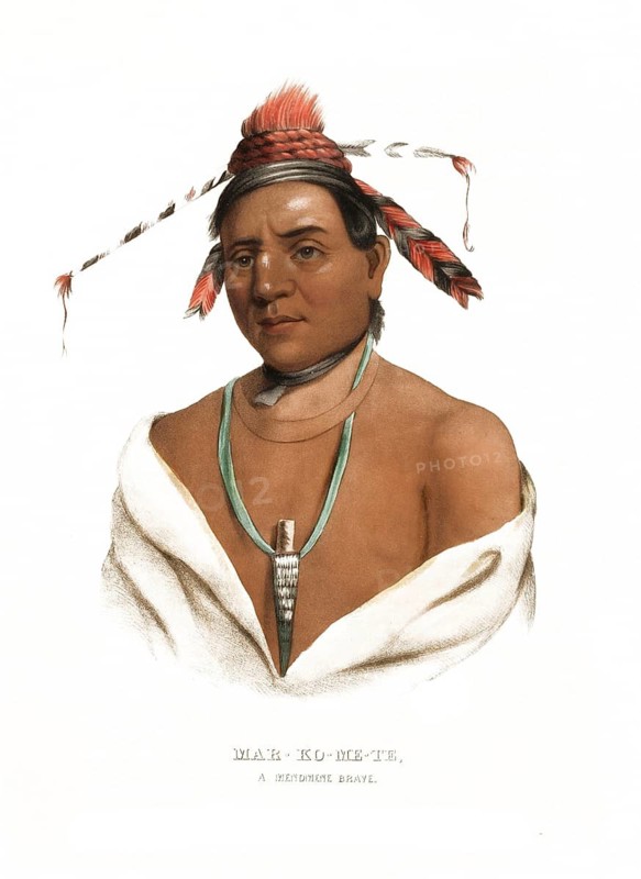 American Indian, Native American, Mar-Ko-Me-Te, a warrior of the Menomenes, United States of America, USA, Painting by Charles Bird King (1785, 1862, c. 1840, Historical, Digitally restored reproduction from a 19th century original, Record date not stated