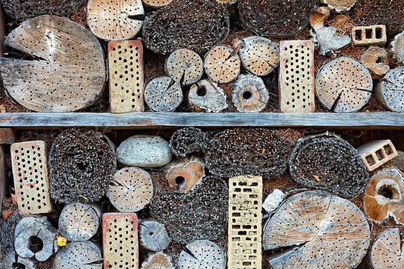 Insect hotel, insect house made from natural materials, nesting aid and species protection for insects, Upper Bavaria, Bavaria, Germany