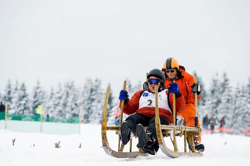 Horn sled racing, Waldau, Black Forest, Baden-Württemberg, Germany