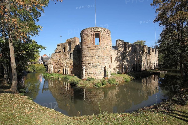 Moated castle, pond, Bad Vilbel, Hesse, Germany