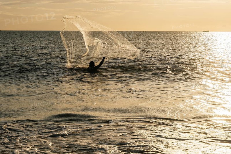 A lone fisherman skillfully casts a net into the shimmering sea as the sun sets, creating a golden reflection on the water. The scene captures the essence of traditional fishing