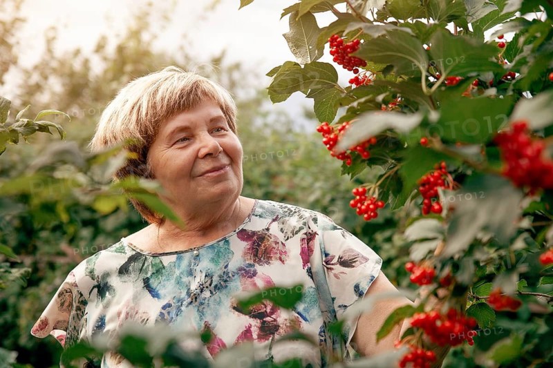 An elderly woman enjoys her lush garden in the Republic of Khakassia, South Siberia, Russia. Surrounded by vibrant foliage, she epitomizes serenity and nature's beauty