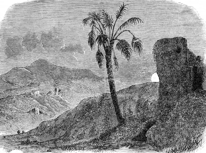 Ancient Bethaiba or Tiberias on the Sea of Galilee, Jordan Valley, Israel, St. Mark's Gospel, Holy City, Judaism, ruin, palm tree, mountain, sun, Bible, historical illustration 1850