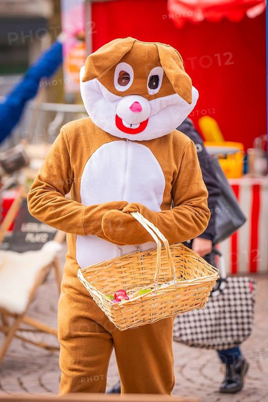 Man in rabbit costume holding a basket at an outdoor event, Easter campaign, Sindelfingen, Böblingen district, Germany