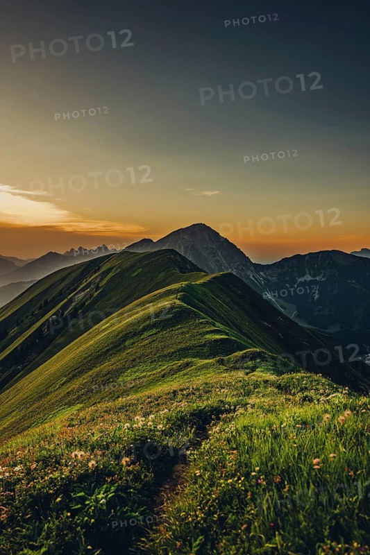 Hiking tour on the Hönig mountain in the Lechtal valley near Berwang in Tyrol, Austria