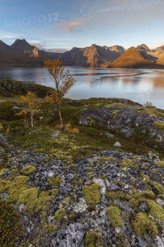Fjord with steep mountains in autumn, morning light, clouds, Oksfjord, Finnmark, Norway