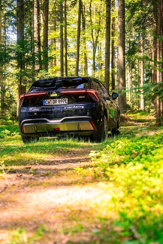 Black car in a sunlit forest, surrounded by green nature, Deer E- Carsharing, Calw, Black Forest, Germany