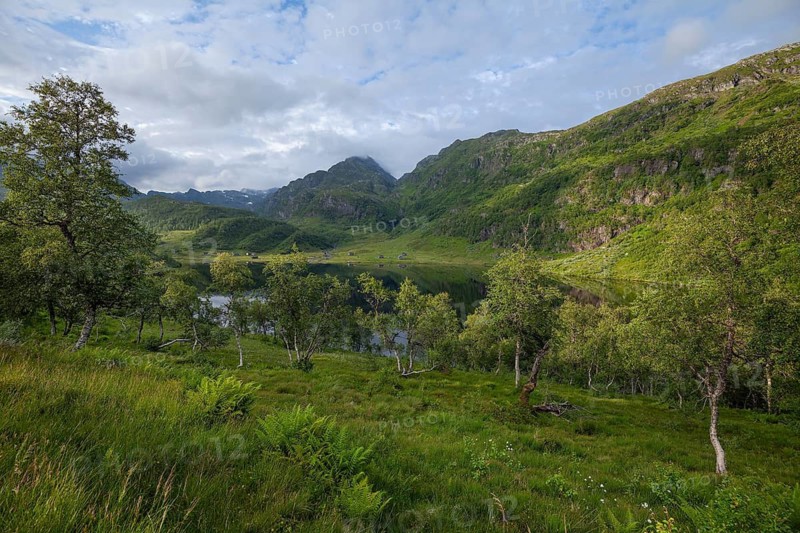 Summer view at Steinskvanndalsvatnet lake near Norheimsund, green mountains, birch forest and old hut, Vestland, Norway