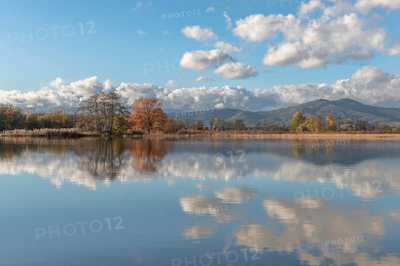 The river flows flat and reflects clouds and mountains under a clear sky. Autumn trees draw the shoreline. It is a quiet moment on the water's edge. Bas Rhin, Alsace, France