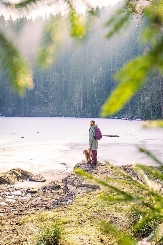 Woman with dog at frozen lake in winter forest, surrounded by green branches, Glaswaldsee, Bad Rippoldsau-Schapbach, district Wolfach, Black Forest, Germany