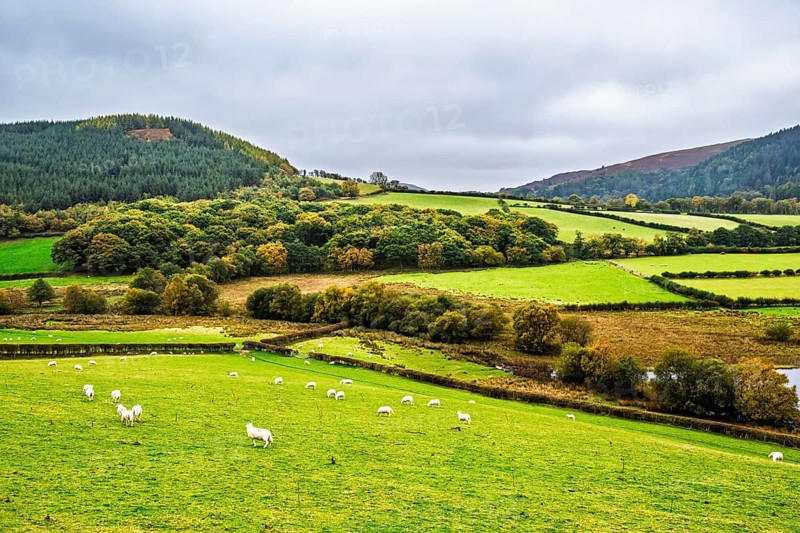 Autumn colors over Farms and Fields, Wales, UK