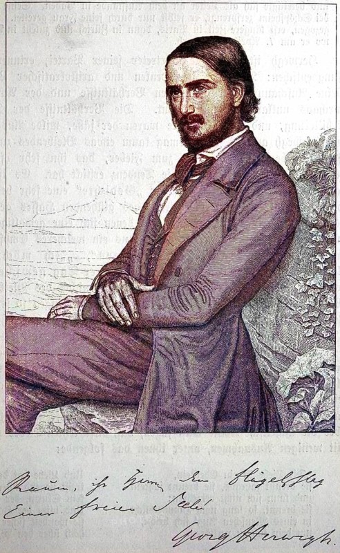 Georg Friedrich Rudolf Theodor Andreas Herwegh, 31 May 1817, 7 April 1875, was a revolutionary native German poet of the Vormärz and translator who also had Swiss citizenship at his own request in 1843, digital reproduction of an original from the 19th century, original date unknown