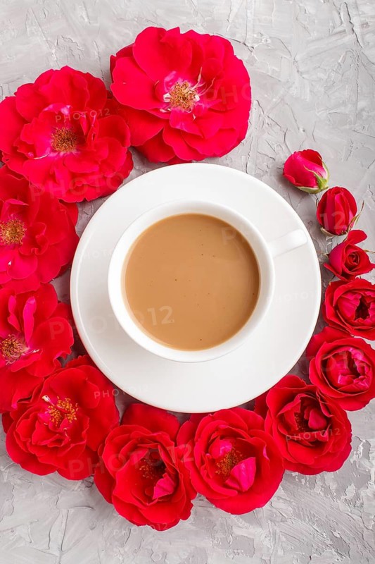 Red rose flowers in a spiral and a cup of coffee on a gray concrete background. Morninig, spring, fashion composition. Flat lay, top view, close up