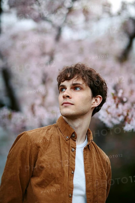 A thoughtful individual gazes into the distance, surrounded by the delicate beauty of blooming sakura flowers in Japan, capturing the essence of springtime