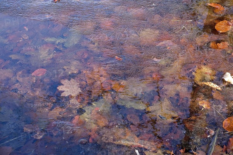 Frozen lake with autumn leaves, winter, Germany