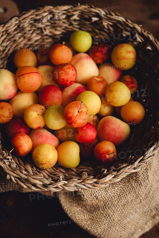A rustic woven basket overflows with fresh, colorful plums. The varied hues of yellow, red, and orange create a warm, inviting scene, symbolizing harvest and abundance