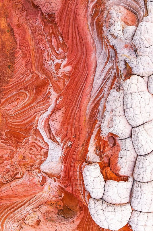An abstract close-up shot of vibrant red and white rock formations showing natural patterns and textures that create a visually captivating scene