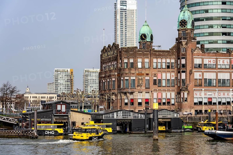 Rijnhaven bridge, Kop van Zuid, Wilhelminapier, skyscrapers on the Nieuwe Maas, city center skyline, Rijnhaven harbor basin, water taxi stop, Rotterdam, Netherlands