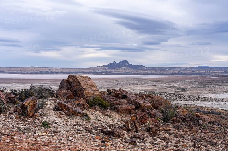 Petrified tree trunks in barren steppe landscape, distinctive table mountain under cloudy sky in the background, Bosques Petrificados de Jaramillo natural monument, Santa Cruz province, Patagonia, Argentina