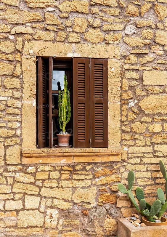 Cactus at the window of a Mediterranean house, Alcudia, Majorca, Spain