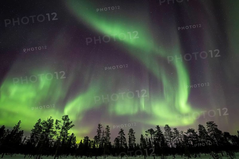 Northern Lights (Aurora borealis), Muddus National Park, Laponia World Heritage Site, Norrbotten, Lapland, Sweden, March 2025