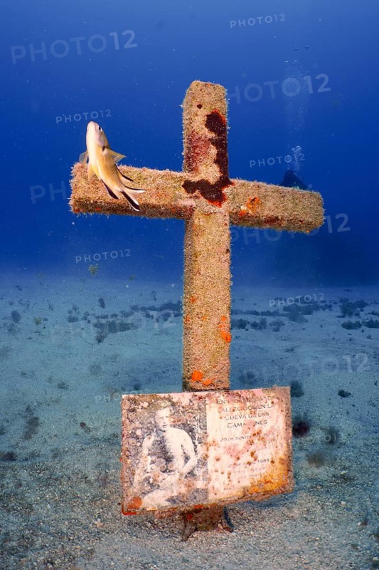 A cross erected on the seabed in memory of a diver who died in an accident, with a picture attached, accompanied by a fish and surrounded by sand. Dive site Cueva de las Morenas, Palm Mar, Tenerife, Canary Islands, Spain