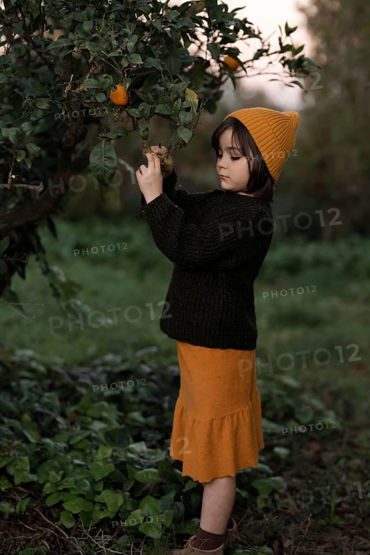 A young child wearing an orange hat and dark sweater picks fruit from a tree in a lush, green garden. The serene scene captures the essence of autumn and outdoor exploration