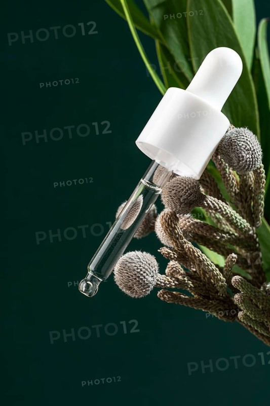 Transparent micellar water showcased in a sleek pipette bottle, delicately poised beside greenery on a dark green backdrop, tailored for effective face care