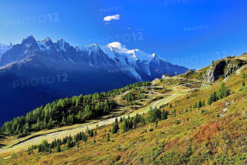 Mountain forest in an autumnal landscape with the snow-covered Mont Blanc massif in the background, Chamonix-Mont-Blanc, Haute-Savoie, France
