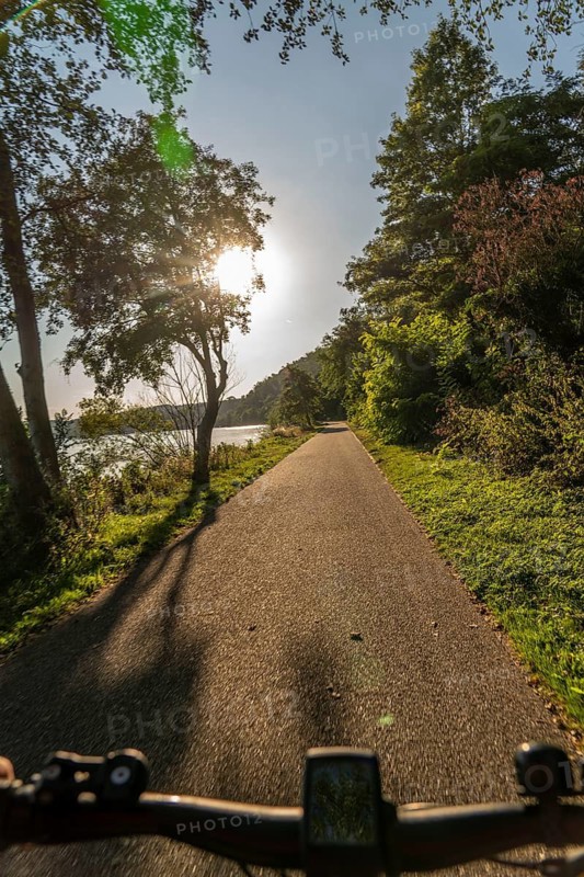 Cycling on Lake Baldeney, around 14 kilometres around the Ruhr reservoir, summer evening on the eastern shore, Essen, North Rhine-Westphalia, Germany
