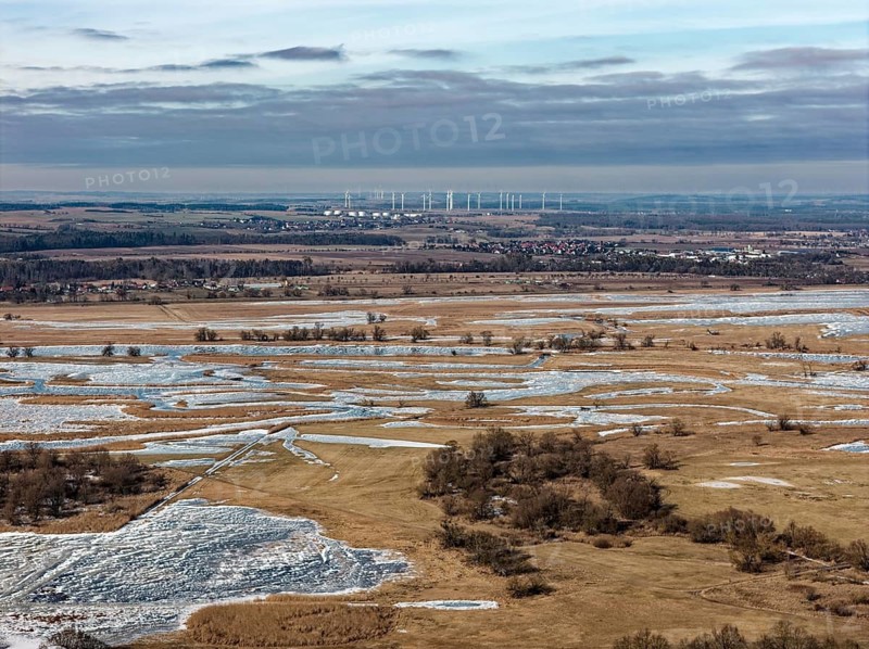 Ice and snow-covered foothills of the Oder in the Lower Oder Valley National Park. aerial view. Schwedt, Uckermark, Brandenburg, Germany
