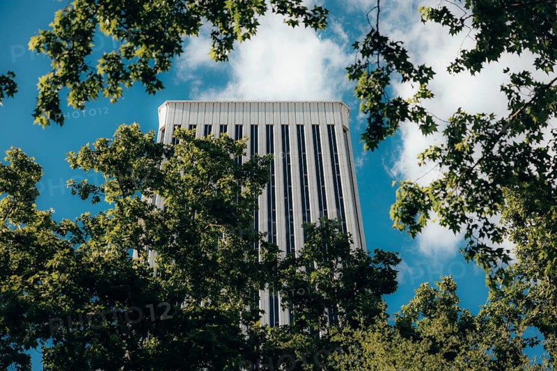 Torre Picasso skyscraper framed by lush green leaves and a bright blue sky. The contrast between the natural elements and architecture creates a striking visual