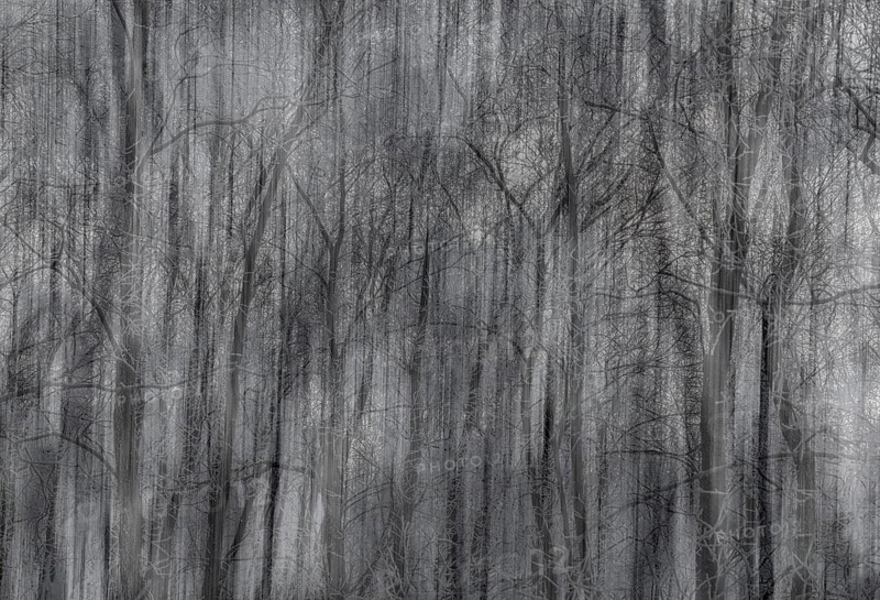 Abstract icy trees, wiping effect
