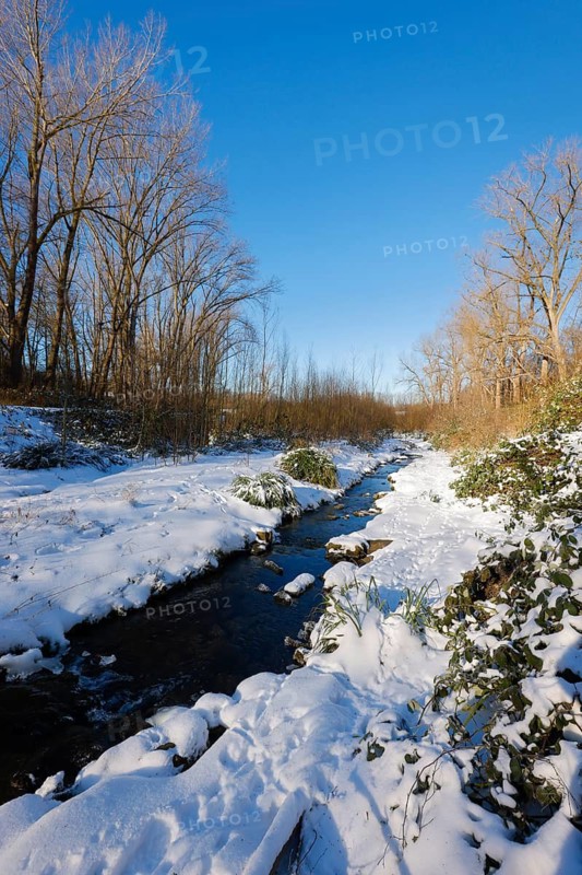 Bochum, North Rhine-Westphalia, Germany - Sunny winter landscape in the Ruhr area, ice and snow on the renaturalised Goldhammer Bach, the stream has been transformed into a near-natural watercourse, the Goldhammer Bach flows via the Hüller Bach into the Emscher, is part of the Emscher river system and thus part of the Emscher conversion, was previously an open, above-ground wastewater channel, mixed water channel with surface water and wastewater