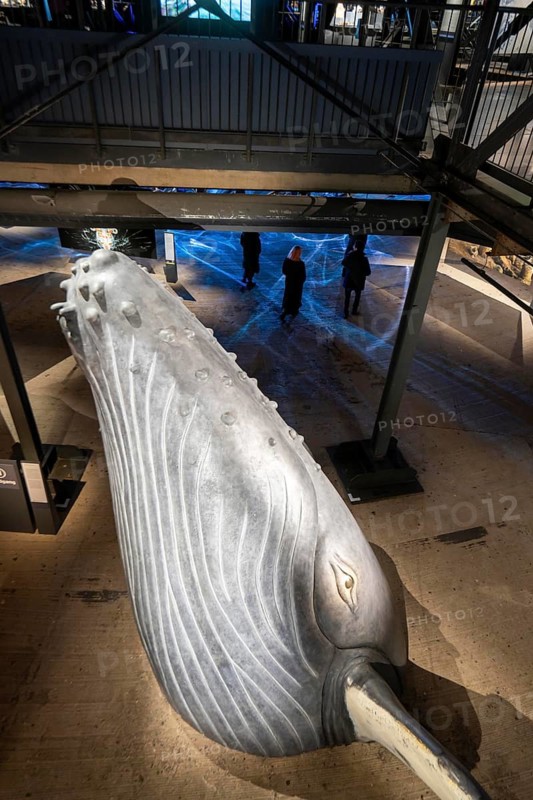 Plante Ozean exhibition in the Gasometer in Oberhausen, the world's oceans in their fragile beauty are the focus of the new exhibition, large-format photos, exhibits including a whale skeleton and an immersive large-scale video and sound installation, The Wave, on a 40 metre high screen measuring over 1000 square metres in total can be seen, Oberhausen, Germany