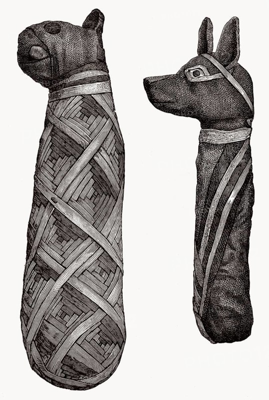 Mumien von Tieren, altes Ägypten, Illustration aus dem 19.