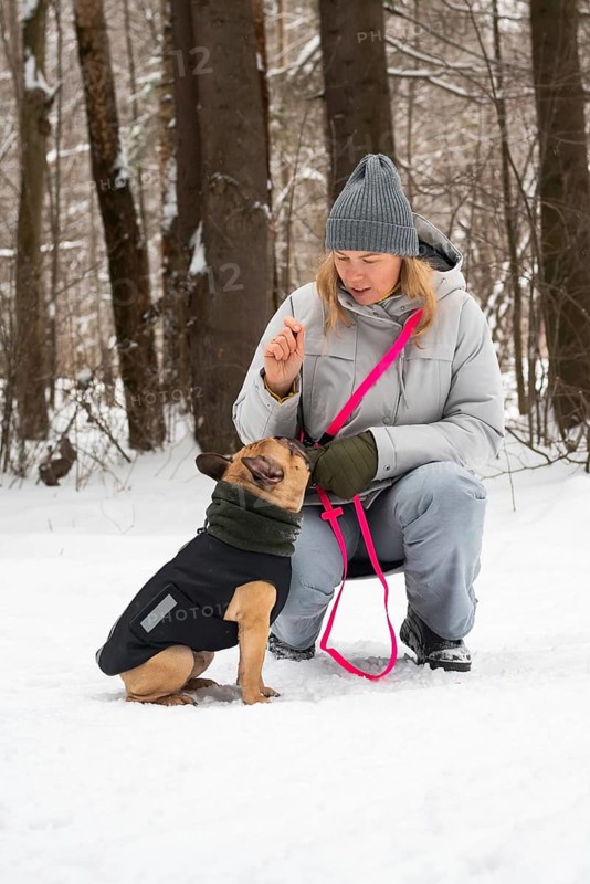 A person enjoys a winter walk with a dog in a snowy forest. The scene captures the cozy winter attire and the joyful interaction between human and pet amidst the serene woodland