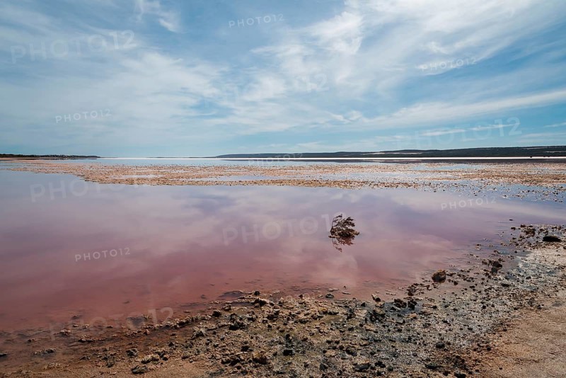 Australia, Western Australia, salt lakes, vastness, longing, reflection, reflection, mirrored, reddish water, salt lake