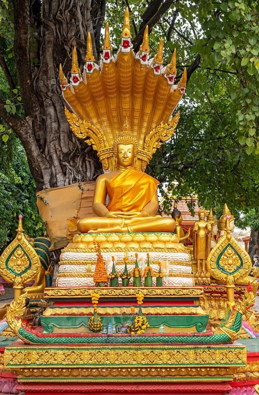 Statue of Buddha under the Bodhi tree, Wat Si Muang, Vientiane, Laos